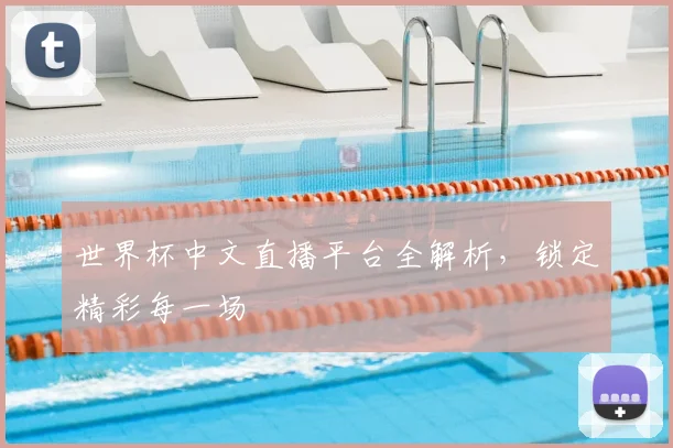 世界杯中文直播平台全解析,锁定精彩每一场